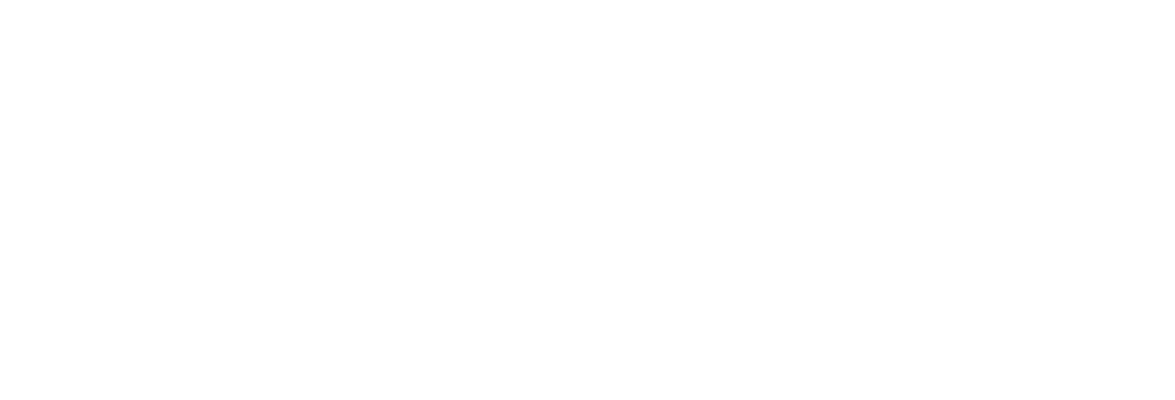 Logo Liederick